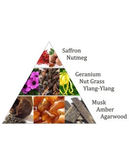 Mattoncini di Incenso Aromafume - 3