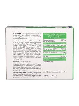 MD33 J Max - Bustine - 4