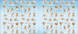 Meddy Teddy con Pupazzo — Libro - 2