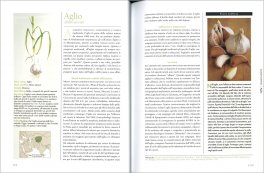 Medicina Naturale — Libro - 3