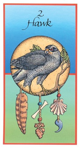 Medicine Cards: The Discovery of Power Through the Ways of Animals - 3