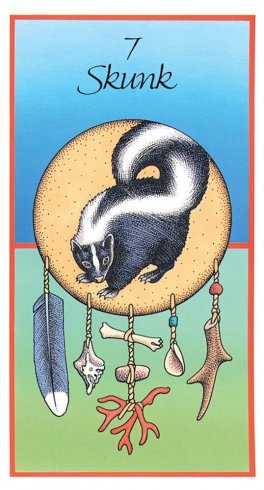 Medicine Cards: The Discovery of Power Through the Ways of Animals - 4
