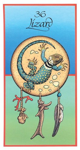 Medicine Cards: The Discovery of Power Through the Ways of Animals - 5