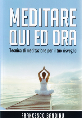 Meditare Qui ed Ora — Libro - 1