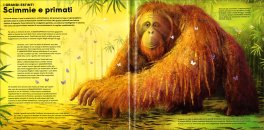Mega — Libro - 4