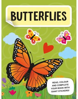Mega Box Art & Crafts - Butterfly - 4