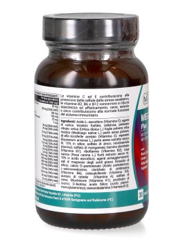Mega Daily Plus - 4