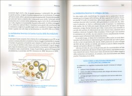 Melatonina — Libro - 3