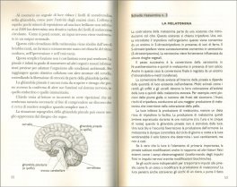 Melatonina — Libro - 3