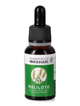 Meliloto - 1