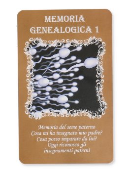 Memorie Genealogiche Ereditate - 60 Oracoli - 4