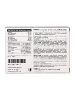 Memowit - Capsule - 2