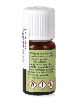 Menta Crispa - Olio Essenziale - 2