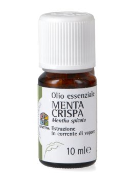 Menta Crispa - Olio Essenziale - 1