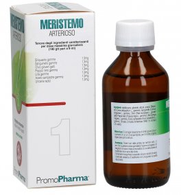 Meristemo 01 - Arterioso - 2