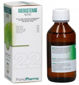 Meristemo 22 - Nefro - 2