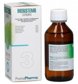 Meristemo 3 - Cerebro - 2