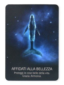 Messaggi dall'Universo - 44 Carte - 5
