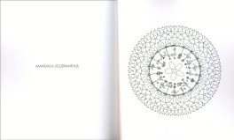 Metodo Alchimia, Mandala dei Fiori di Bach, i Dodici Guaritori — Libro - 3