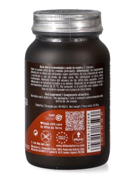 Mico-Chaga - 2