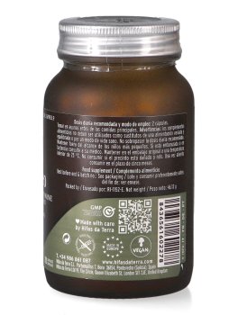 Mico-Leo Hericium Bio - 2