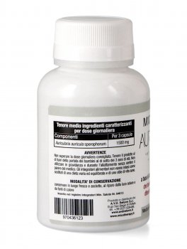 Micotherapy - Auricularia - 3