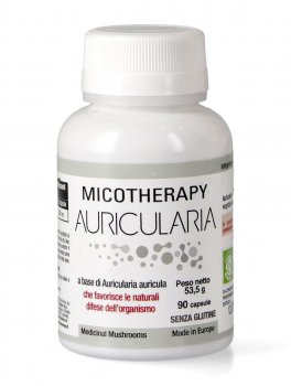 Micotherapy - Auricularia - 1