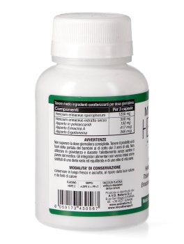 Micotherapy - Hericium - 3