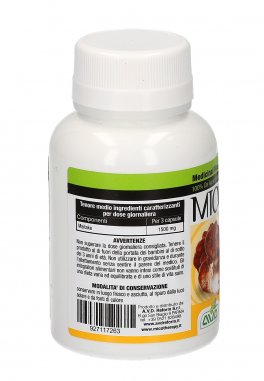 Micotherapy - Maitake - 3