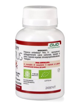 Micotherapy - Polyporus - 2