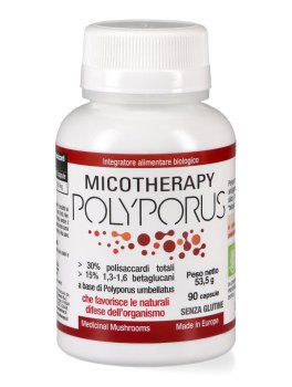Micotherapy - Polyporus - 1