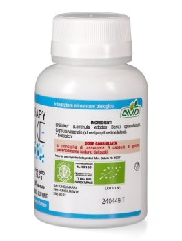 Micotherapy - Shitake Bio - 2