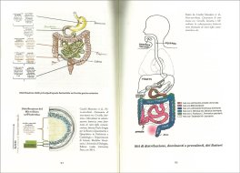 Microbiota, Fitoterapia e Psicologia — Libro - 3