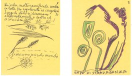 Microbotanica Disegnata — Libro - 4