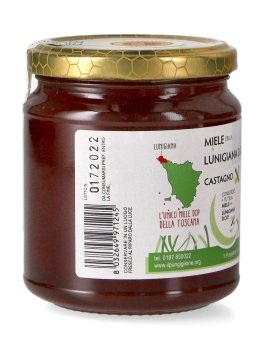 Miele di Castagno della Lunigiana D.O.P. - 3