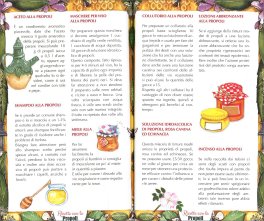 Miele, Polline, Propoli, Pappa Reale, Veleno d'Api — Libro - 3