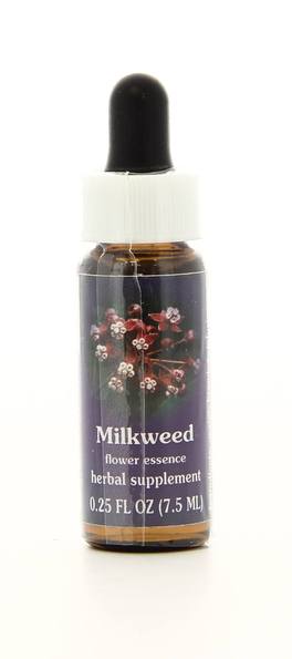 Milkweed - Fiori californiani - 1