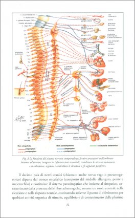 Minerali Vulcanici Bioattivi — Libro - 3