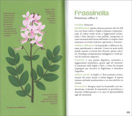 Mini Atlante delle Erbe — Libro - 3