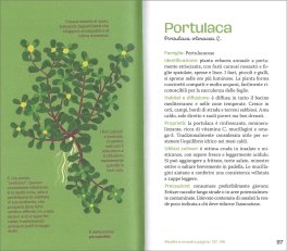 Mini Atlante delle Erbe — Libro - 4