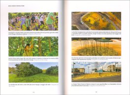 Mini-Forest Revolution — Libro - 3