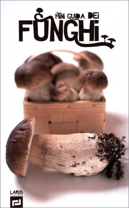 Mini Guida dei Funghi — Libro - 1