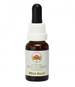 Mint Bush - Fiori australiani - 15 ml - 1