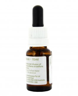 Mint Bush - Fiori australiani - 15 ml - 2