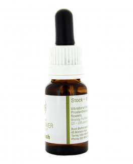 Mint Bush - Fiori australiani - 15 ml - 3