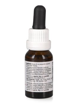 Mint Bush - Essenza Floreale Australiana Singola - 2