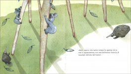Mio Nonno è un Koala — Libro - 3