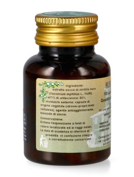 Mirtillo - 3