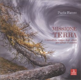 Missione Terra