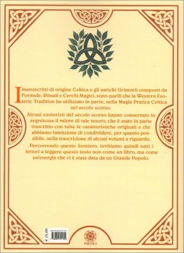 Misteri e Magia Celtica — Libro - 2